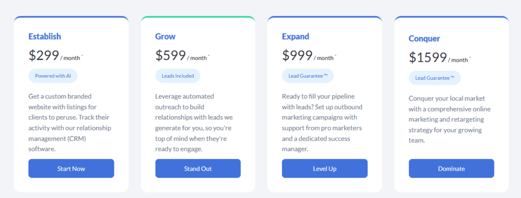 Real Geeks pricing